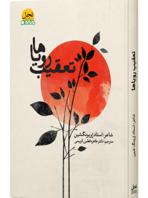 جلد کتاب تعقیب رویاها